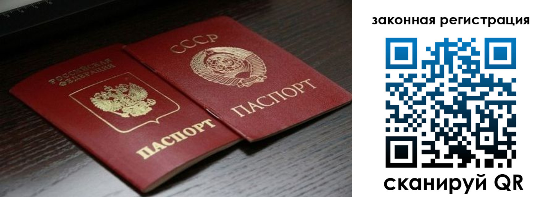прописка поиск в Марий Эл